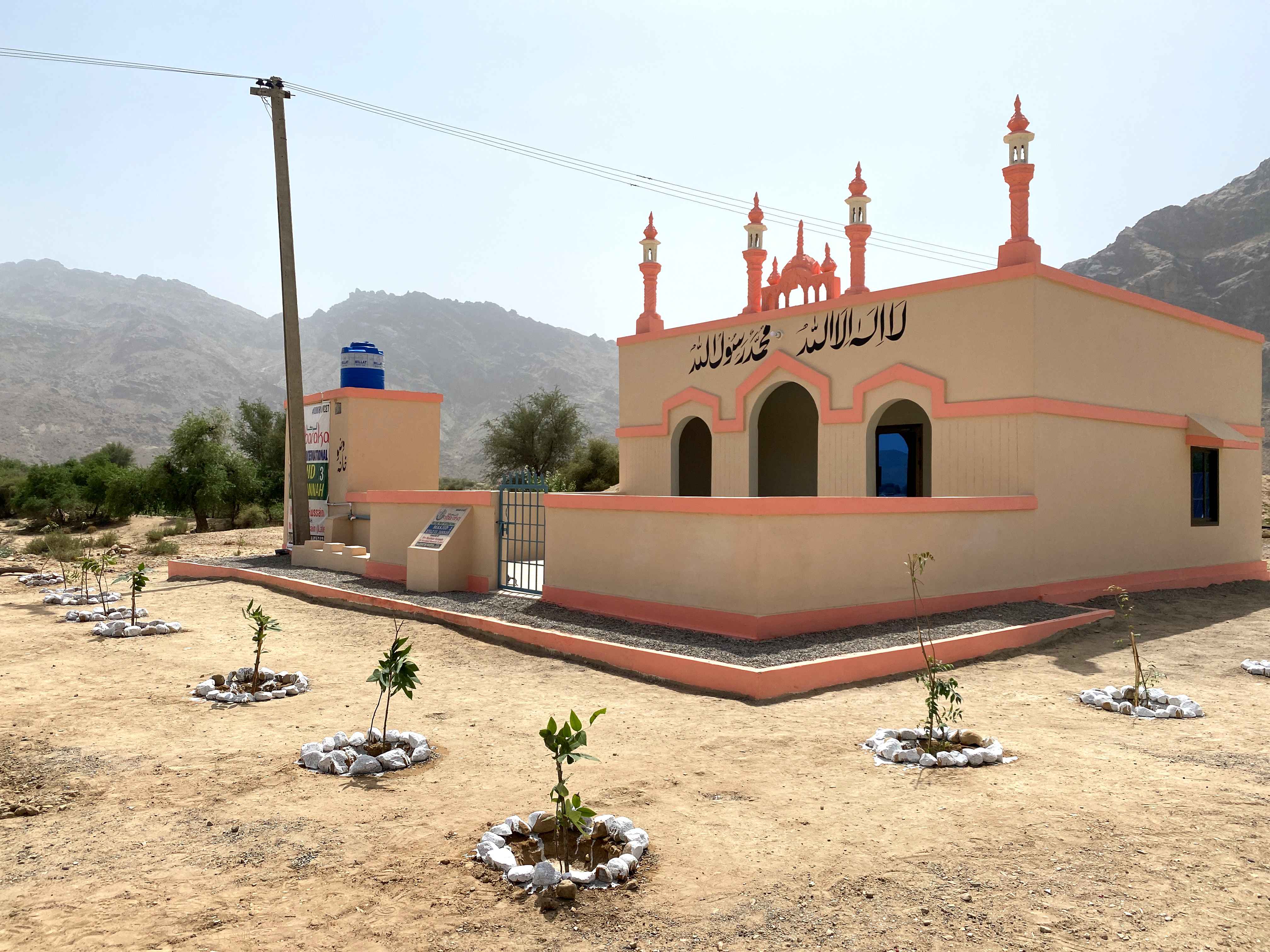 Terms and Conditions